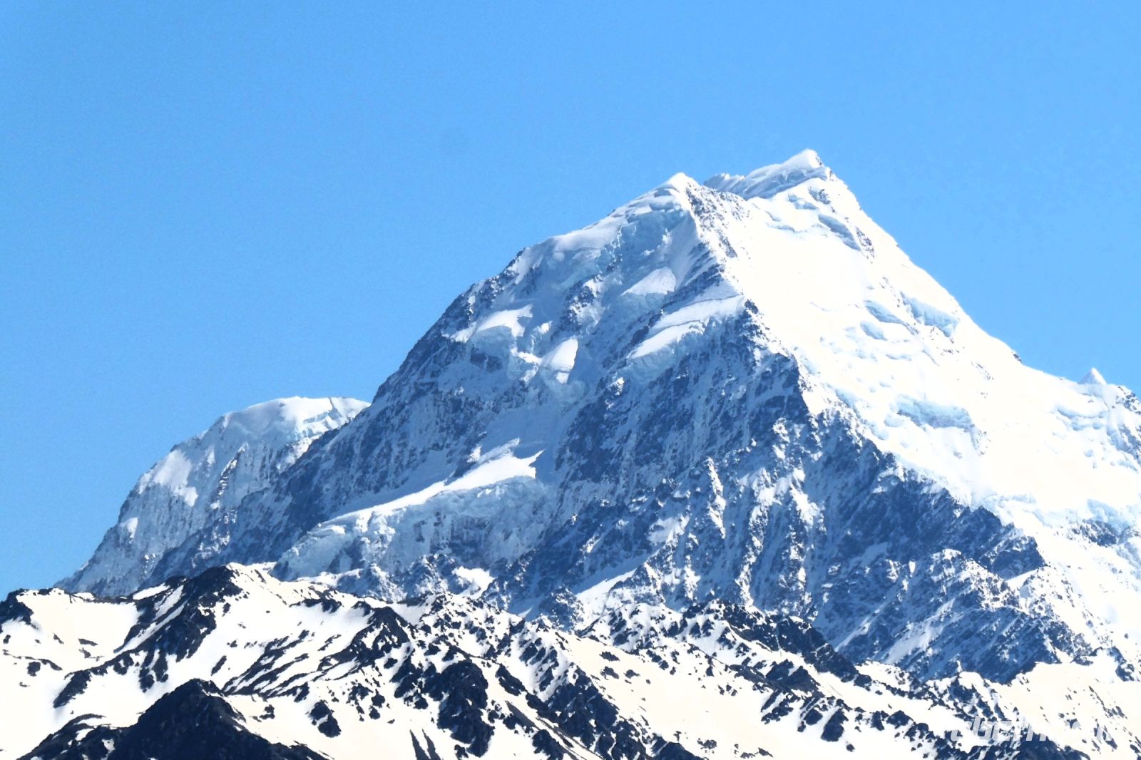klare Schönheit