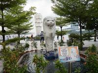 klein Merlion