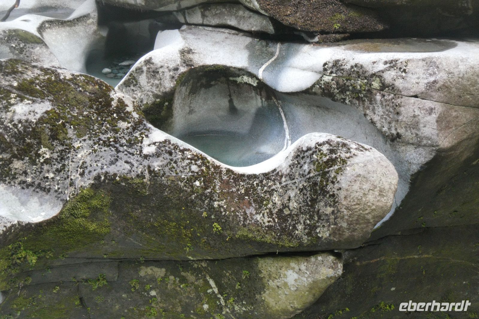 kreative Natur 