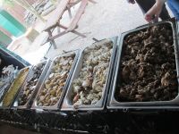 leckeres Hangi 