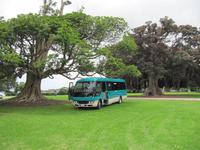 unser Bus