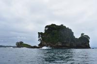 Vogelinsel Bocas del Toro