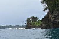 Vogelinsel Bocas del Toro