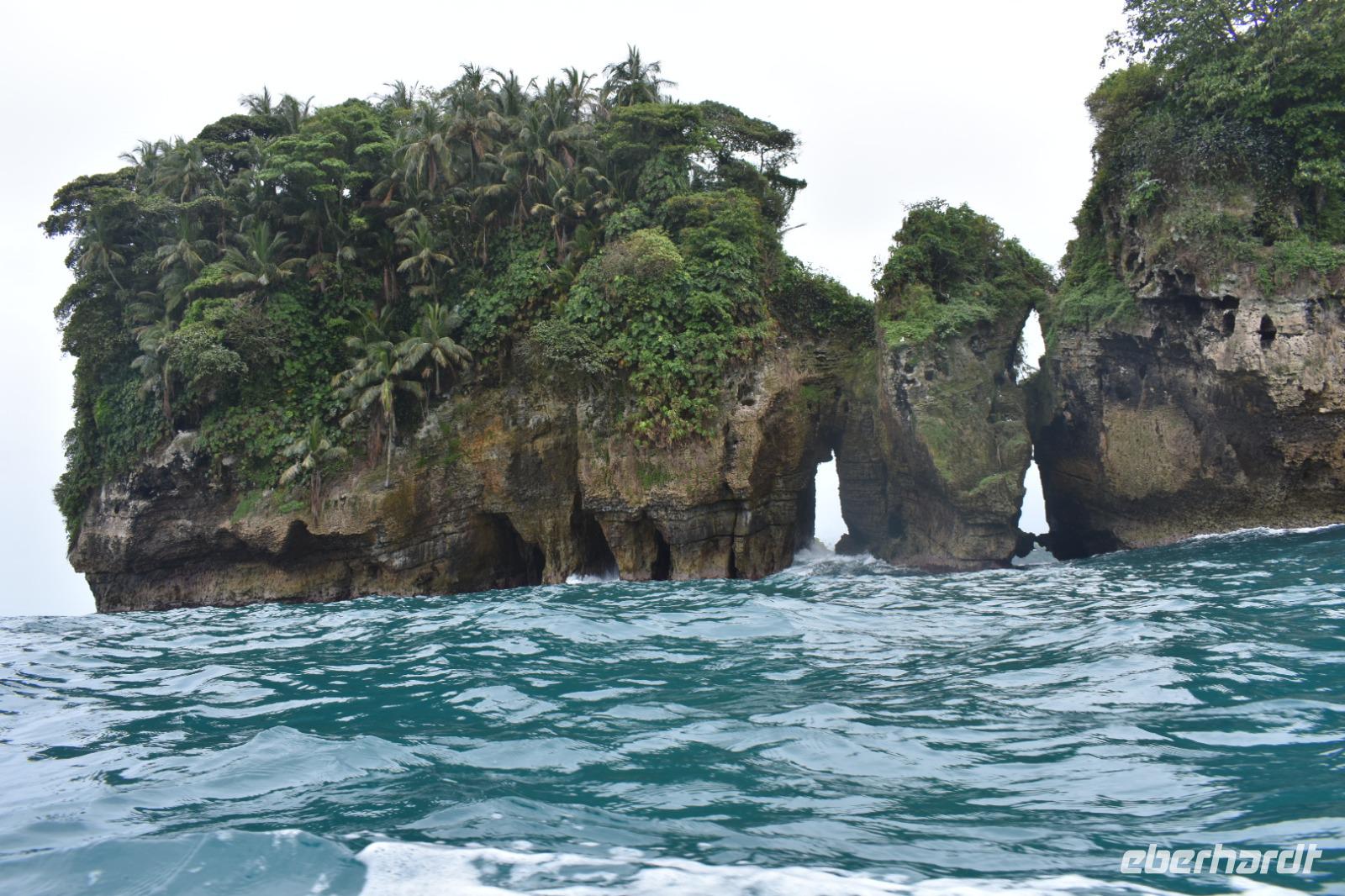 Vogelinsel Bocas del Toro
