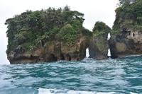 Vogelinsel Bocas del Toro