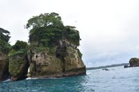 Vogelinsel Bocas del Toro