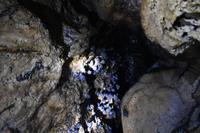 Bastimentos - Fledermaus Höhle