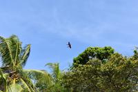 Playa Rincon de San Josecito