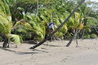 Playa Rincon de San Josecito