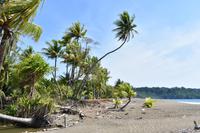 Playa Rincon de San Josecito