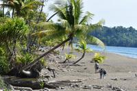 Playa Rincon de San Josecito