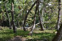 Playa Rincon de San Josecito
