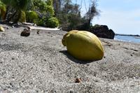 Playa Rincon de San Josecito