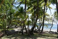 Playa Rincon de San Josecito