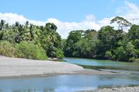 Corcovado Nationalpark
