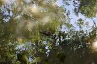 Nationalpark Corcovado