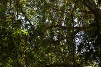 Nationalpark Manuel Antonio