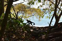 Nationalpark Manuel Antonio