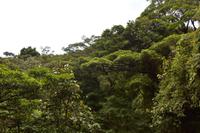 Arenal Volcano National Park
