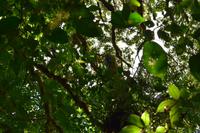 Arenal Volcano National Park