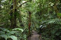 Arenal Volcano National Park