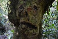 Arenal Volcano National Park