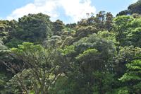 Arenal Volcano National Park