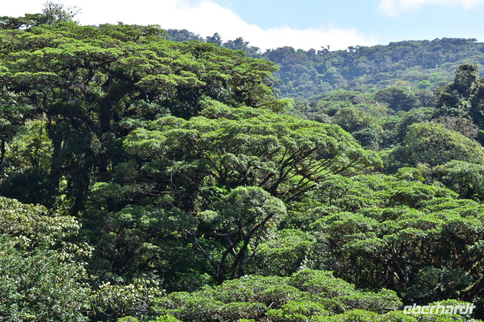 Arenal Volcano National Park