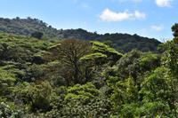 Arenal Volcano National Park