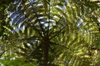 Arenal Volcano National Park