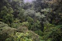 Arenal Volcano National Park