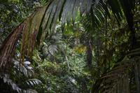 Arenal Volcano National Park