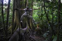 Arenal Volcano National Park
