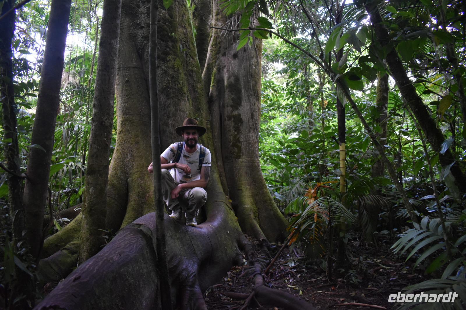 Arenal Volcano National Park