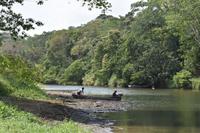 Embera Panama