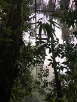 keiner auf der Haengebruecke