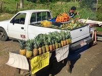 Fruechte an der Strasse