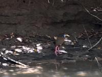 was gibts denn da vorne ?