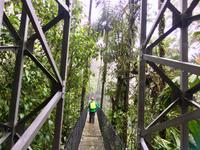 auf der Haengebruecke