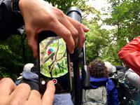 so wird ein Bild gemacht