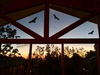 der Yogaraum in Monteverde