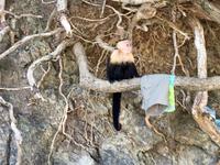 passen mir diese Kleider ?