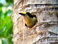 ein Baby....superherzig