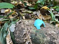 wem gehoert das blaue Ei ? dem Osterhasen ? 