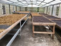 Kaffeetrocknen wenns regnet