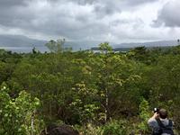 Arenal See