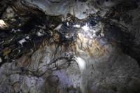 Bastimentos - Fledermaus Höhle