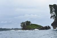 Bird Island
