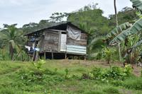 Bocas del Toro