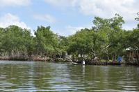 Bocas del Toro